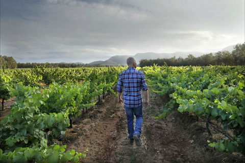 Thomas Wines - NT Tourism 2