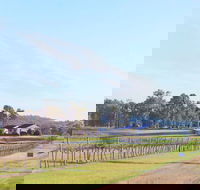 Blacklea Vineyard and Olive Grove - NT Tourism
