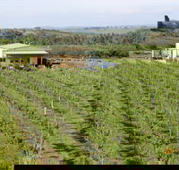 Dindima Wines - NT Tourism