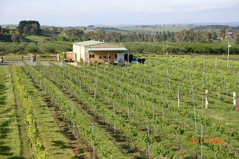 Dindima Wines - NT Tourism 0