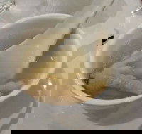 Maxim Saigon - NT Tourism