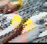 Travelling Bandit - Accommodation NT