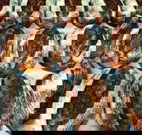 Farmer's Bakehouse - Accommodation NT