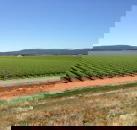 Melange Wines - NT Tourism