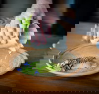 Aubergine - Accommodation NT