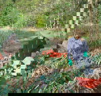 Sweet Water Farm - NT Tourism
