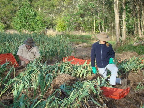 Sweet Water Farm - NT Tourism 0