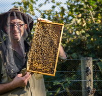 Pure Peninsula Honey - NT Tourism