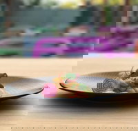 Bellottis Italian Dining - Cascades Motor Inn - Accommodation NT