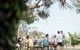 St Leonards Vineyard Café - thumb 0