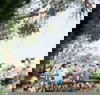 St Leonards Vineyard Caf - NT Tourism