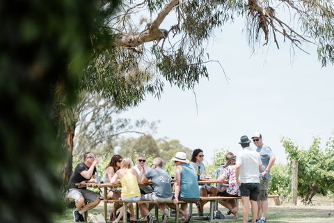 St Leonards Vineyard Café - NT Tourism 0