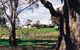 St Leonards Vineyard Café - thumb 1