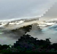 The Mushroom at Waratah - Accommodation NT