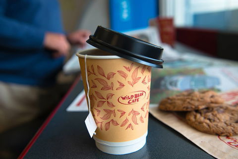 Wild Bean Cafe - Croydon - Accommodation NT 0