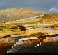 Optimiste Wines - NT Tourism
