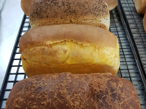 Plantation Organic Bakery - Accommodation NT 0