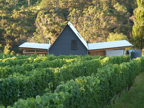 Two Bud Spur Vineyard - Accommodation NT 0