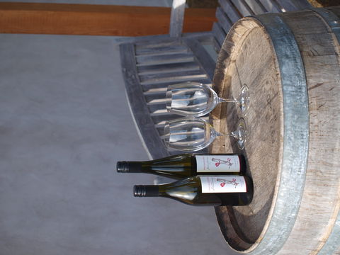 Two Bud Spur Vineyard - Accommodation NT 1