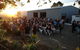 Two Figs Winery - thumb 0