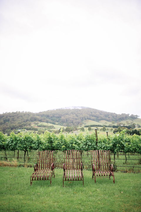 Two Figs Winery - NT Tourism 2