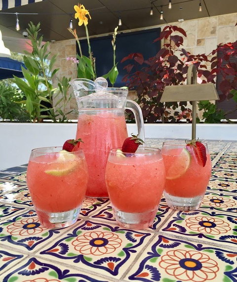 Fillippo's - The Bath Arms Hotel - Burwood - NT Tourism 0