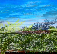 Rowsley Fault Vineyards - NT Tourism