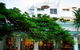 Noosa Beach House Peter Kuruvita - thumb 2