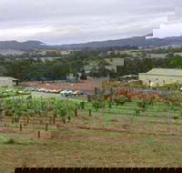 Villa d Esta Vineyard - NT Tourism
