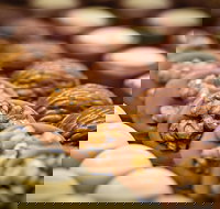 Cafe Stellina - Accommodation NT