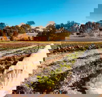 Synchronicity Farm - NT Tourism
