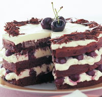 The Cheesecake Shop - Wavell Heights - Accommodation NT