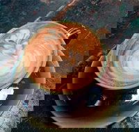 Fox  Rabbit Coffee Co. - NT Tourism