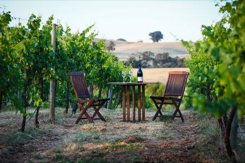 Indigo Vineyard - Accommodation NT 1