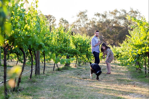 Indigo Vineyard - Accommodation NT 2