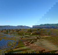 Mistletoe Winery - NT Tourism