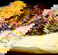 The Lion's Pride - Accommodation NT