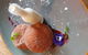 OTREE - thumb 19