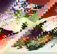 Succulent Cafe - Accommodation NT