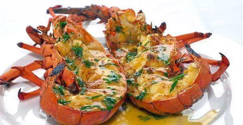 Chefs Of Tandoori - NT Tourism 27