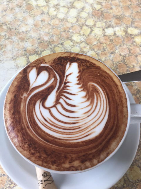 Cafe Del' Art - Accommodation NT 3