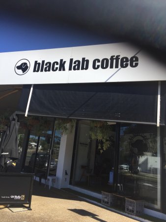 Black Lab Coffee - Accommodation NT 0