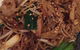 Rockingham Village Chinese Restaurant - thumb 0