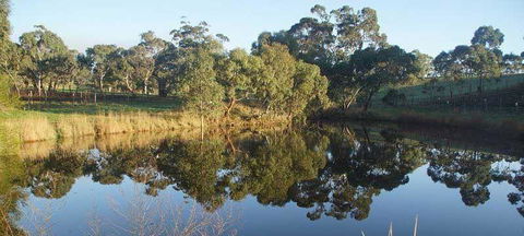 Spot Pea - NT Tourism 1