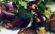 Figbird Cafe And Deli - thumb 0