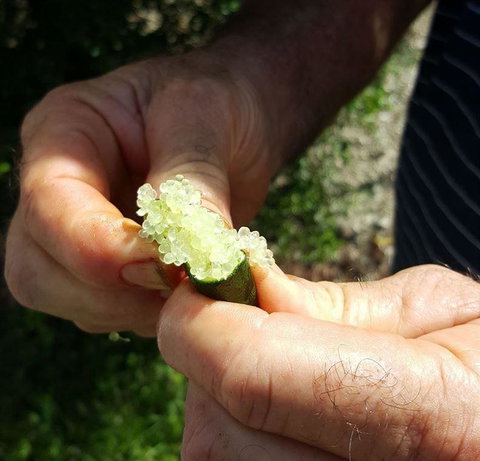 The Blue Door On 5th - NT Tourism 5