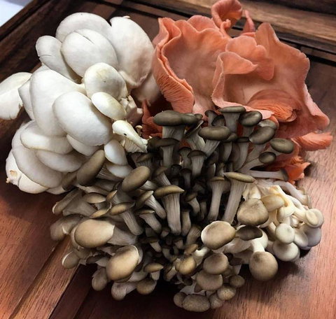 The Blue Door On 5th - NT Tourism 8