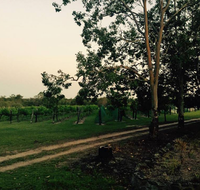 Brierley Wines - NT Tourism