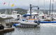 Gosford Sailing Club - thumb 10