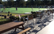 Tea Gardens Country Club & Motel - thumb 4